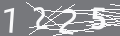 capsa